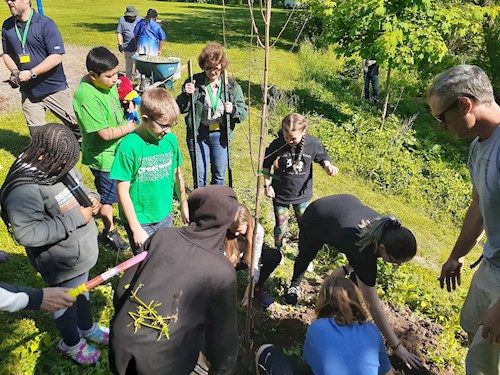 Kids lean over tree being planted