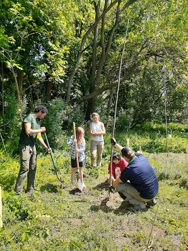 two kids plant a tree with adult help