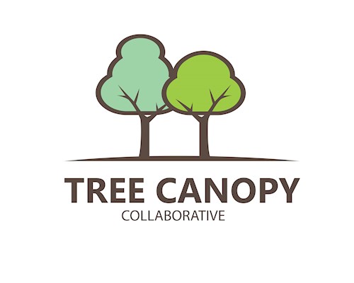 Tree Canopy logo