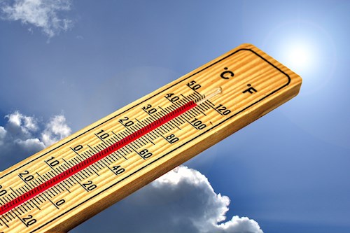 Image of Thermometer