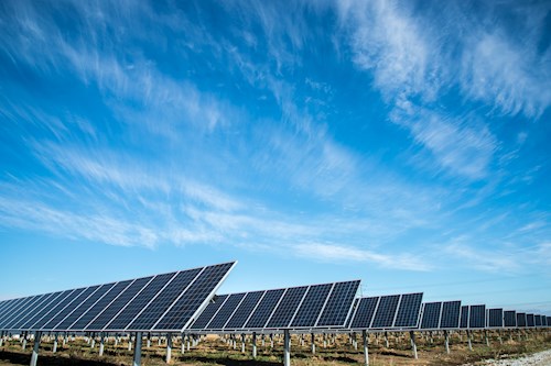 Utility solar panel field