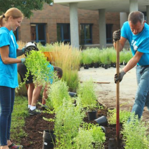 People working in a community garden